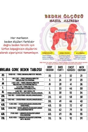 Pawstar Turuncu Fileli Kopek Yagmurlugu Kucuk Irk Yagmurluk Fiyati Yorumlari Trendyol