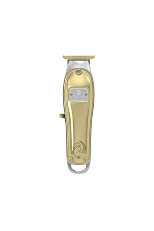 troy duvar kağıdı hector