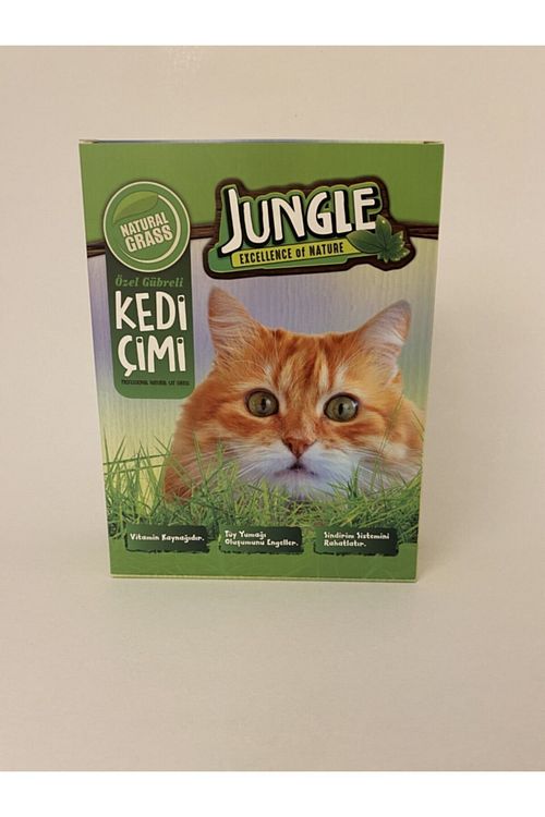 Petikutucom Peti Kutu Kedi Fiyati Yorumlari Trendyol