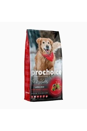 Pet new arrivals choice supply