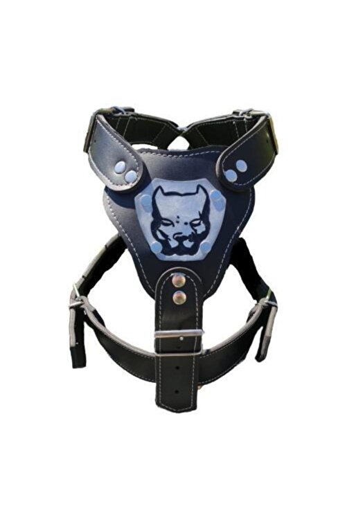 Eastland Deri Kopek Tasma Gogus Tasmasi Buyuk Boy Kangal Malakli Gladyator Siyah Renk Fiyati Yorumlari Trendyol