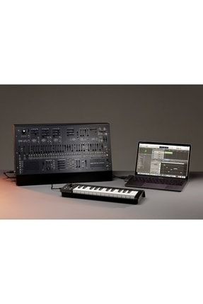 KORG Arp 2600 M ltd Fiyat Yorumlar Trendyol