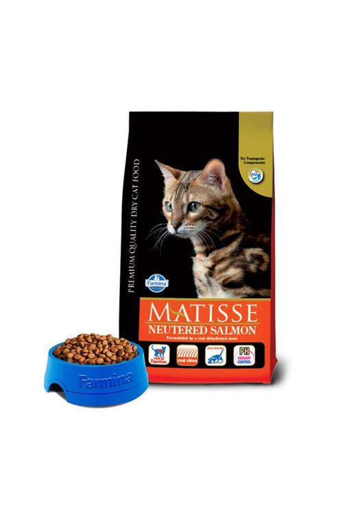 Matisse Farmina Neutered Somon Kisirlastirilmis Kedi Mamasi 10 Kg Fiyati Yorumlari Trendyol