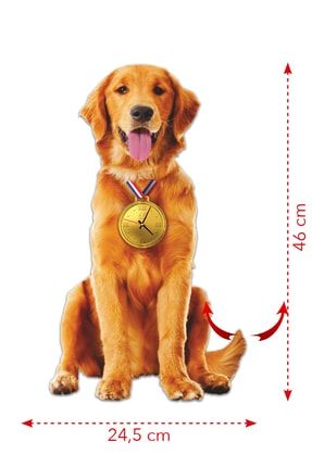 Goodtime golden retrievers 2025