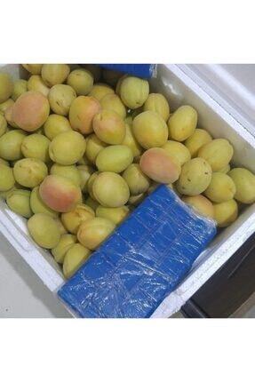 Qtj1smypl B1 M Qtj1smypl B1 M