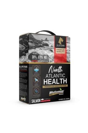 Mutamin Organics North Atlantic Health Somonlu Kopek Mamasi Combo Paket 3 Medium Large Fiyati Yorumlari Trendyol