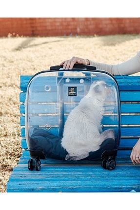 Kedi Ve Köpek Taşıma Çantası