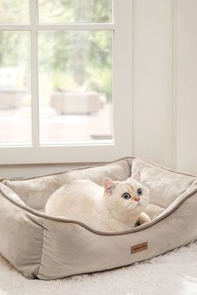Miu Kedi & Köpek Yatağı