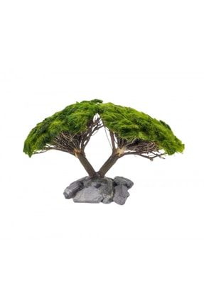 Ikili Ağaç Figürü Moss Sarılı 's'