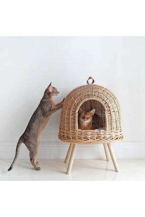 tortoise design bambu kedi yuvasi fiyati yorumlari trendyol