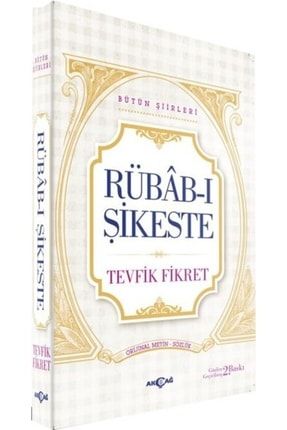 Rübab-ı Şikeste - Bütün Şiirleri