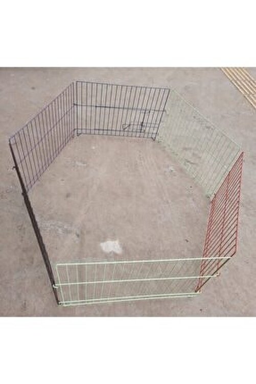 Kardelen Kopek Citi Renkli Boyali 60 Cm Yukseklik 75 Cm Eni 6 Parca Fiyati Yorumlari Trendyol