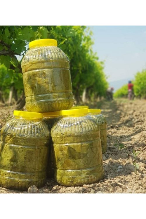 Cetinkayalar Salamura Yaprak Manisa Turgutlu Sultaniye Yaprak 5 Kg Fiyati Yorumlari Trendyol