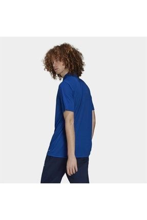Adidas entrada shirt best sale