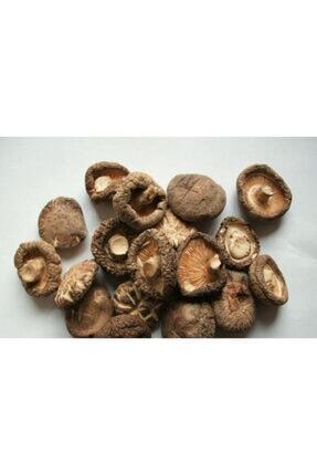 Xushi Gida Mantar Dried Mushroom Fiyati Yorumlari Trendyol