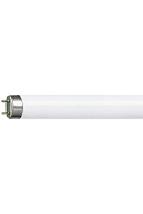 T8 36w/865 Floresan Ampul Beyaz