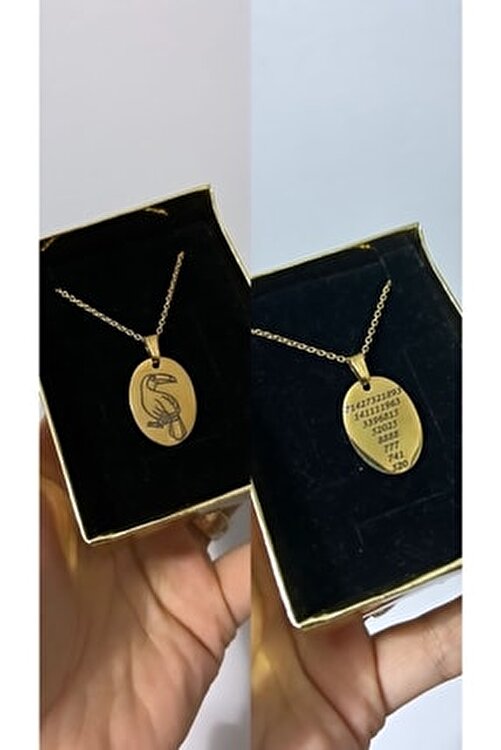 teşekkür ederim şirin mem