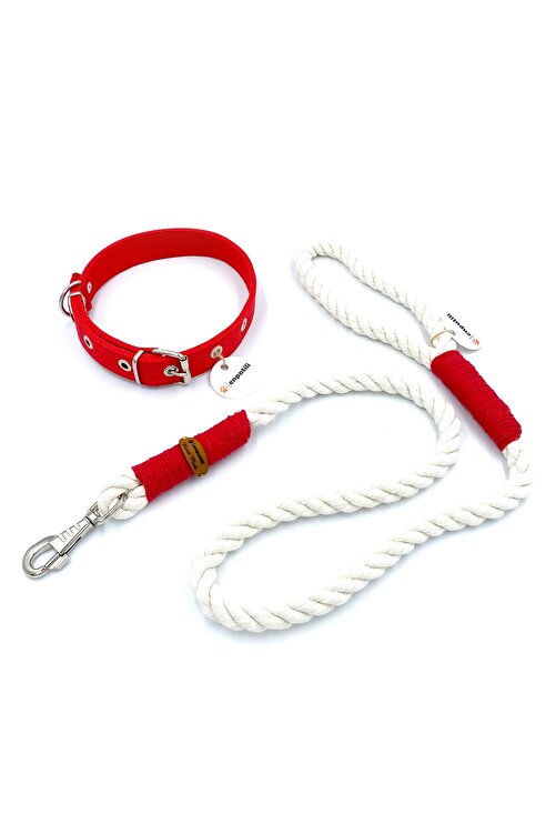 Enpatili Kopek Boyun Ve Gezdirme Tasmasi Seti Orta Buyuk Irk Kirmizi Fiyati Yorumlari Trendyol