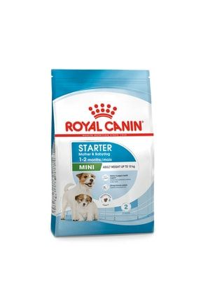 Royal canin starter 3kg online