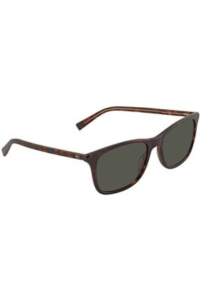 Tommy hot sale hilfiger 1449