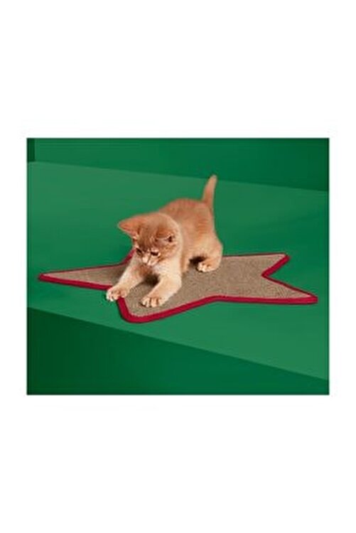 Tchibo Kedi Tirmalama Halisi 108576 Fiyati Yorumlari Trendyol