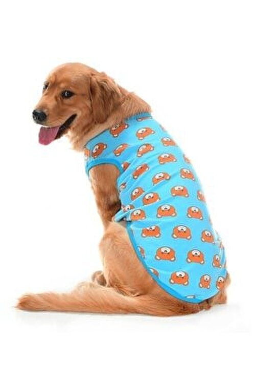 F H8abrbep Q1m F H8abrbep Q1m