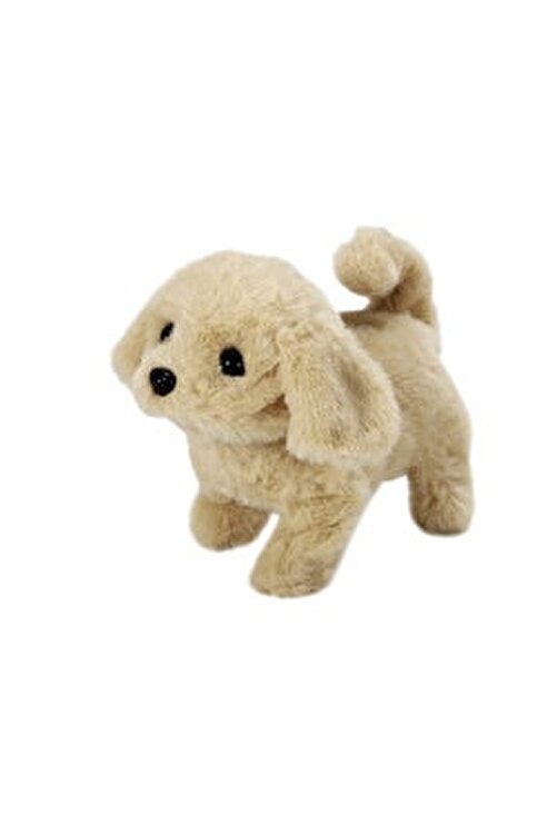 Renkli Cicekler 18 Cm Gercekci Oyuncak Simulasyon Kopek Akilli Yuruyus Elektrikli Pelus Oyuncak Robot Kopek Fiyati Yorumlari Trendyol