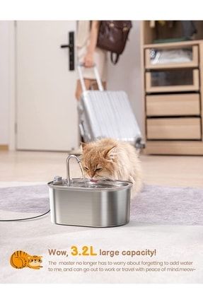 Pet home shop online online