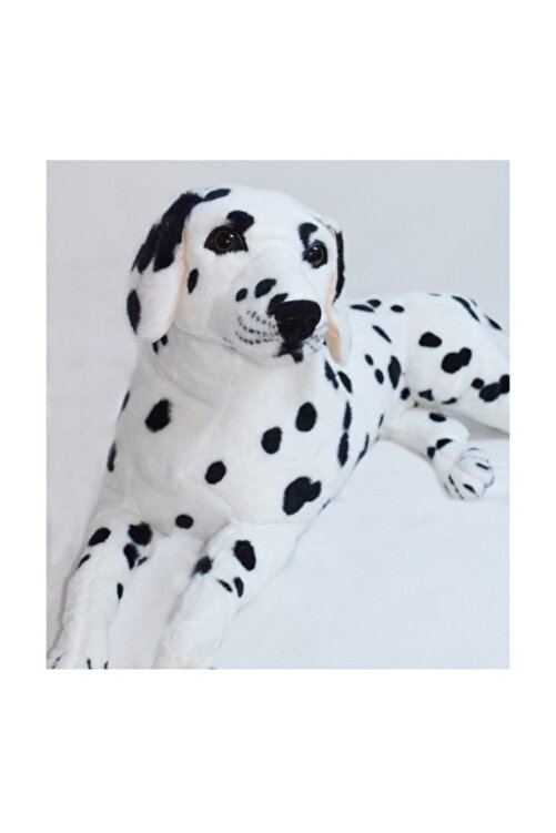 Halley Pelus Dalmacyali Kopek 73 Cm Fiyati Yorumlari Trendyol