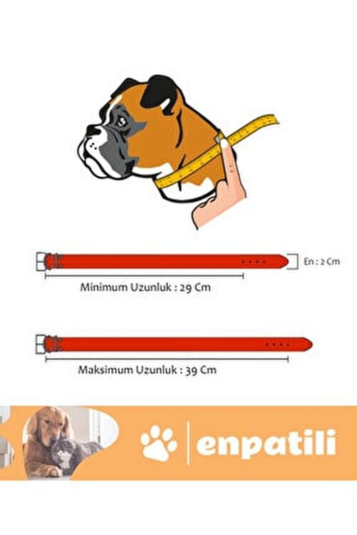 Enpatili Kopek Tasmasi Yetiskin Kucuk Orta Irk Ve Buyuk Irk Yavru Kopek Boyun Tasmasi Mor Fiyati Yorumlari Trendyol