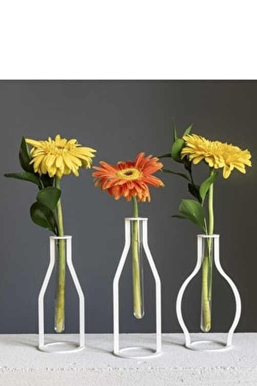 çelik manolyalar 2023 shelby ölür