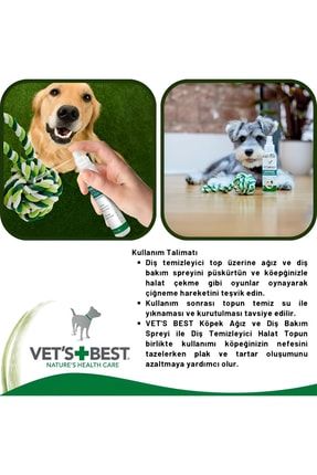 Pet dental spray hotsell