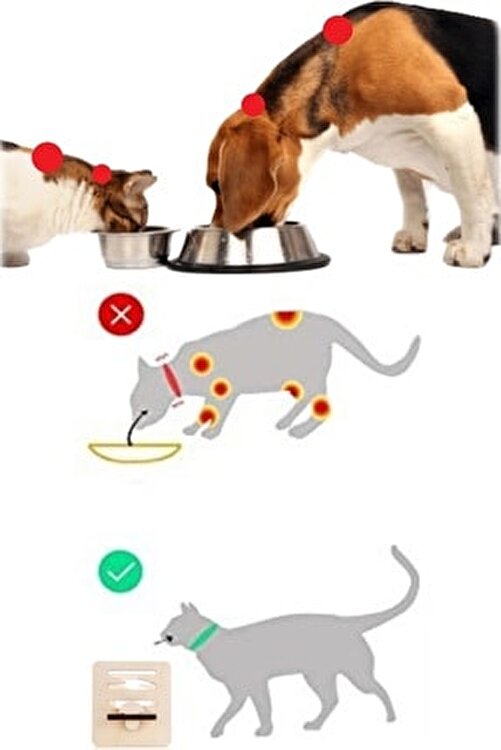 Pati Co Tum Irklara Uyumlu Anatomik Ayarlanabilir Kedi Ve Kopek Mama Su Kabi Fiyati Yorumlari Trendyol