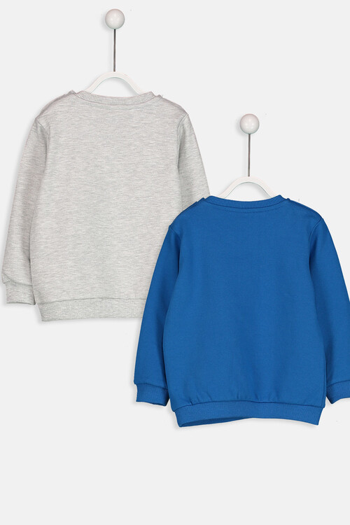 Lc Waikiki Erkek Bebek Sweatshirt 2 Li Fiyati Yorumlari Trendyol