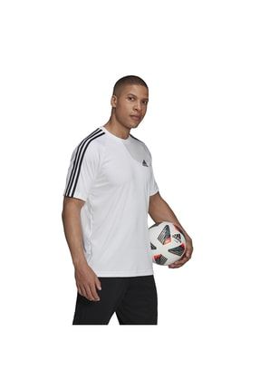 Adidas men tshirt sales
