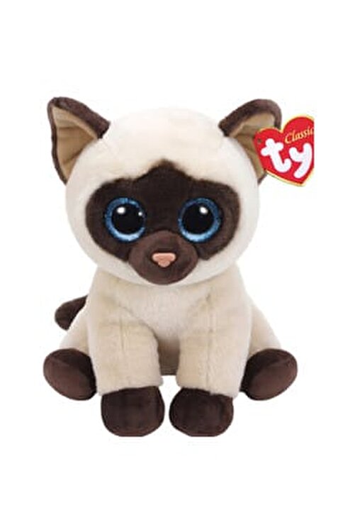 ty jaden siamese cat
