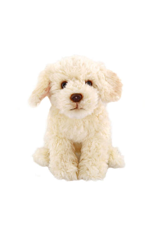 Animals Of The World Floppy Labradoodle Pelus Kopek 28 Cm Fiyati Yorumlari Trendyol