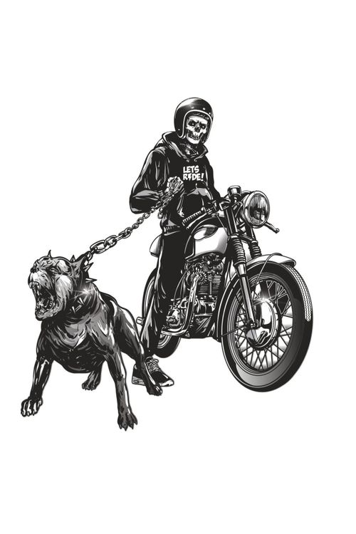 motosiklet köpek taşıma