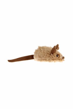 Petdroid new arrivals