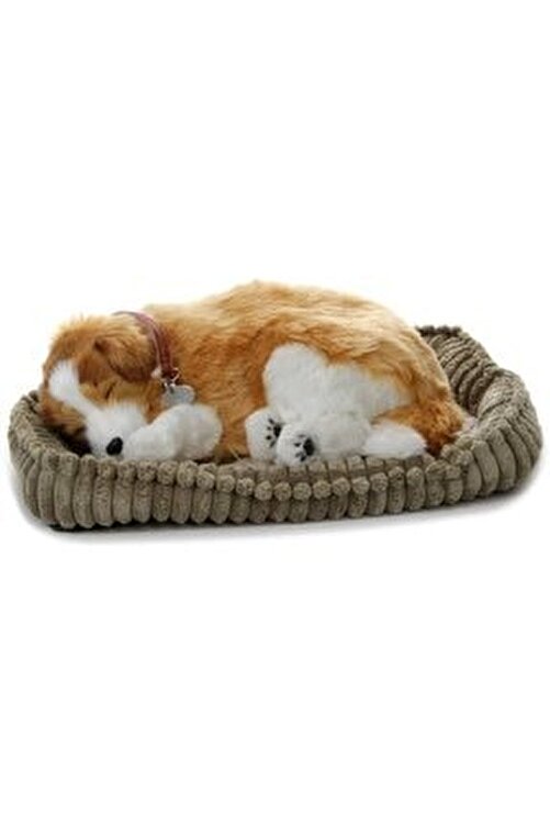 Wiccu Gifts Gercek Gorunumlu Nefes Alan Oyuncak Kopek Collie Fiyati Yorumlari Trendyol