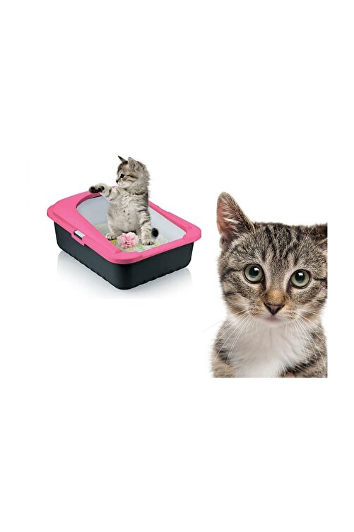 Petimister Peti Lux Acik Kedi Tuvaleti 38x51x20 Cm Fiyati Yorumlari Trendyol