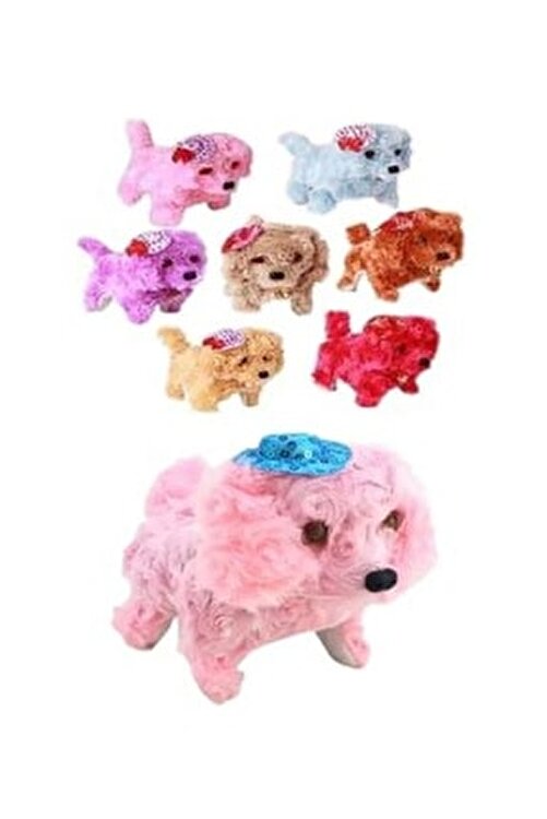 yürüyen köpek png