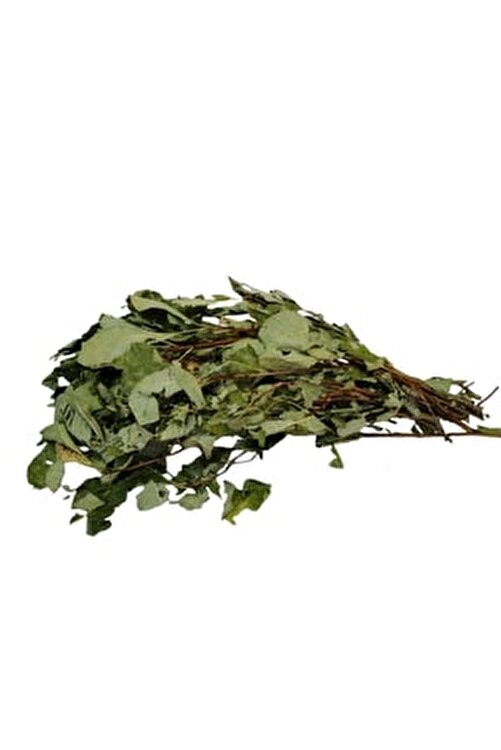 Tetra Ağacı Yaprağı Duman Ağacı Tetra Otu 100 gr A0312