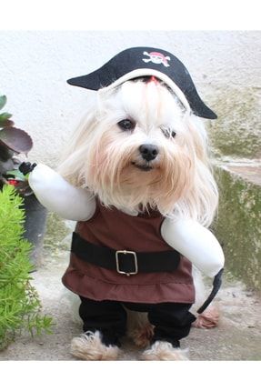 Petite dog clothes top