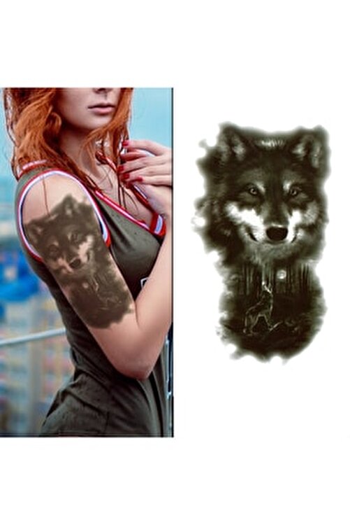 harika kurt çizimleri