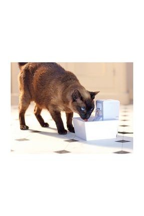 Petsafe 2025 aqua cube