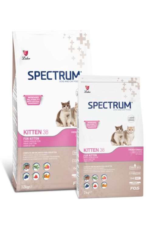 Spectrum Kitten 38 Yavru Kedi Mamasi 2 Kg Fiyati Yorumlari Trendyol