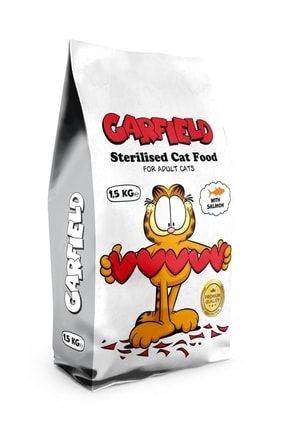 garfield çizgi roman doğum günü
