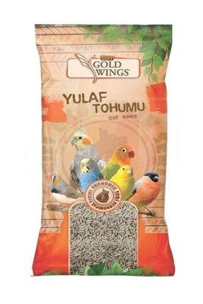 Yulaf Tohumu 300 gr