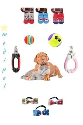 Pet socks sale
